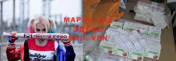 гидра Белокуриха