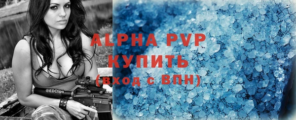 гидра Белокуриха