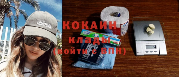гидра Белокуриха