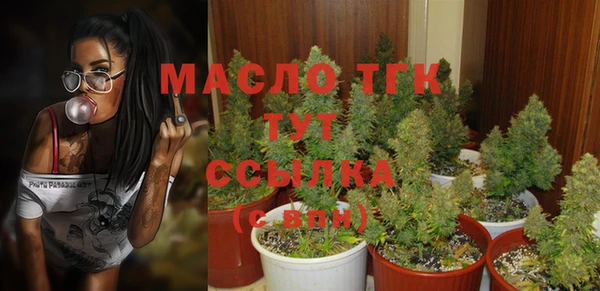 spice Беломорск