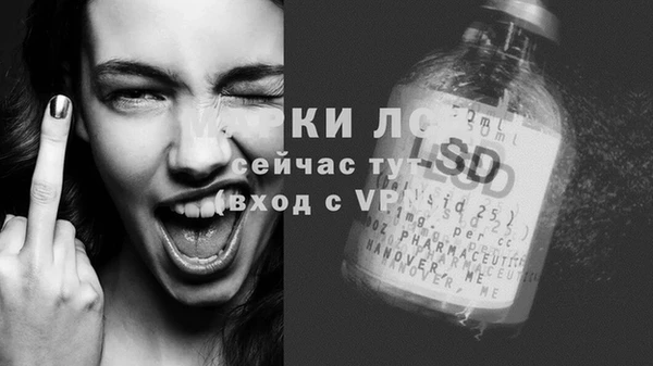 гидра Белокуриха