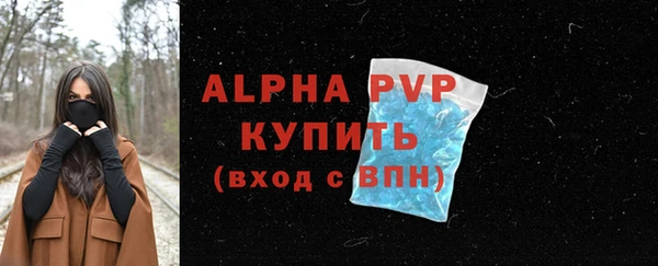 spice Беломорск